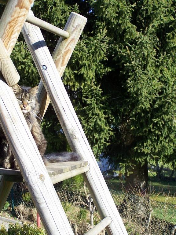 Urlaub Bei Freunden Apartamento Füssen Exterior foto